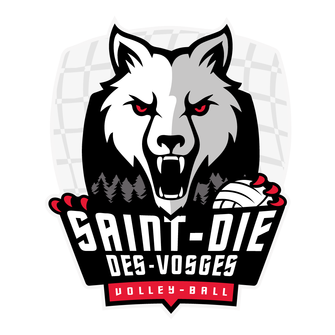 SAINT-DIE DES VOSGES